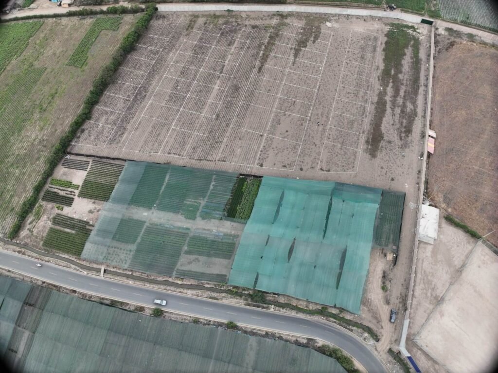 Lotes Los Naturales (2)